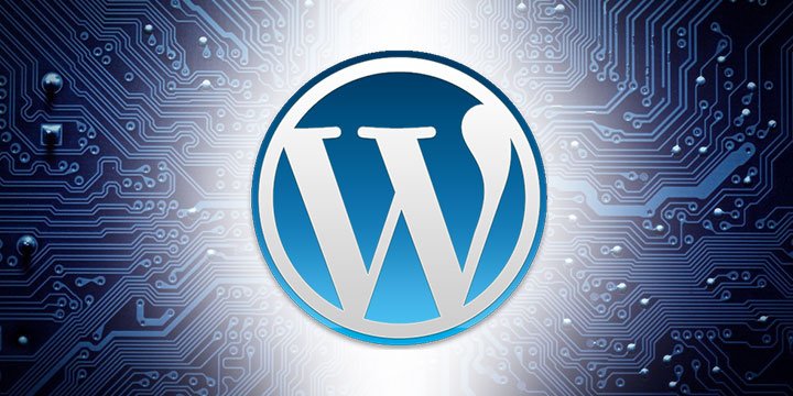 The Best Way of Introduction to WordPress in 2024
